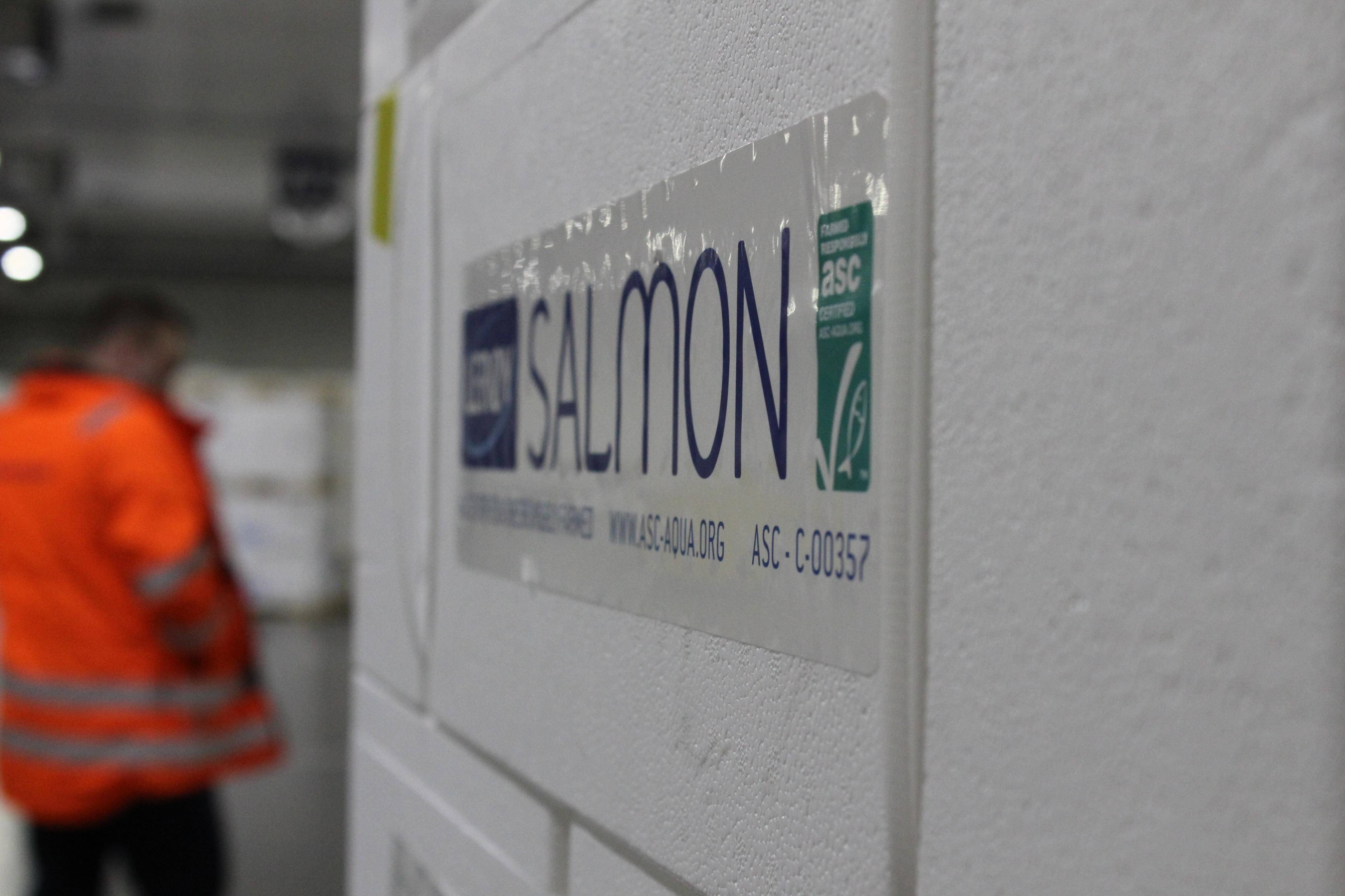 Finnair Cargo corrects Special Handling Code errors 50 faster in trial